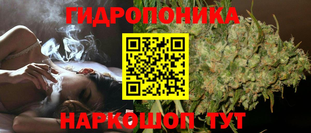 Камышин  Конопля тримм  Бошки Шишки OG Kush  Каннабис сатива  Вход с VPN  МАРИХУАНА SATIVA & INDICA 