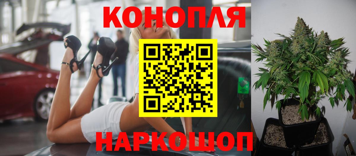 Шишки марихуана OG Kush Камышин